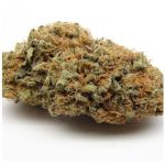 Шишки AK47 (Гидропоника, Бошка) VHQ в Кирове Шишки AK47 (Гидропоника, Бошка) VHQ в Кирове