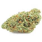 Шишки OG Kush (Гидропоника, бошки) VHQ в Кирове Шишки OG Kush (Гидропоника, бошки) VHQ в Кирове